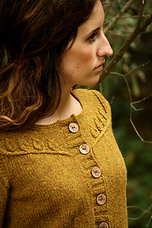 Twigs_and_willows_top_small2