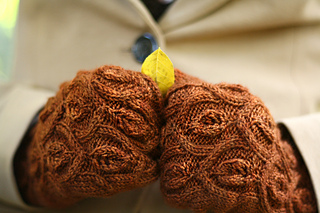 Mittens_closeup_small2