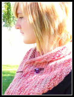 Cowl1_small2