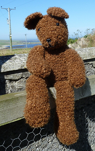 Ready_teddy_bear_001_medium