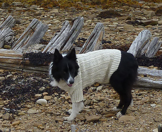 Sea_dog_gansey05_small2