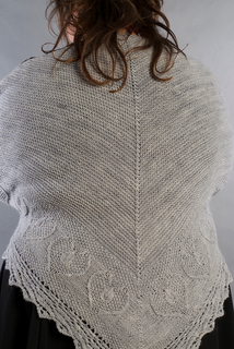 Sb_back_wrapped_crop_small2