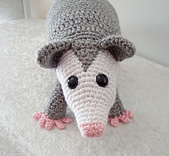 Opossum3_small