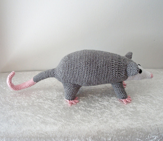 Opossum5_small2