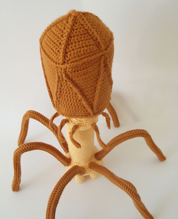 Bacteriophage4_small2