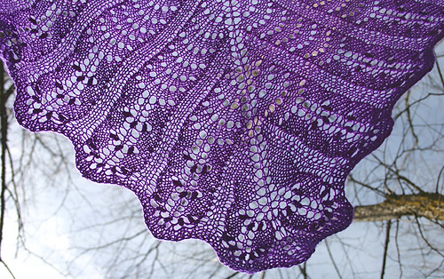 Lavender_tip_medium