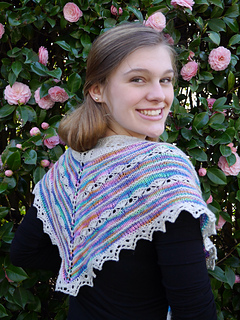 Aloha_shawlette_back_small2