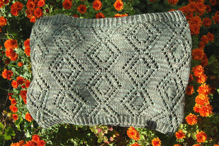 Bug_cowl4_small2