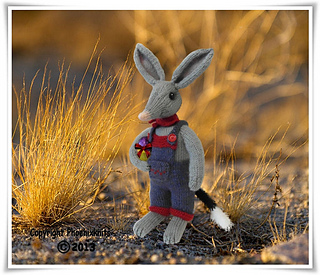 Bilby_main_2__2__small2