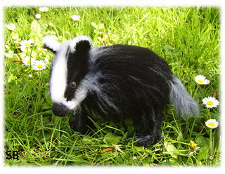 Bonnie_baby_badger_small2