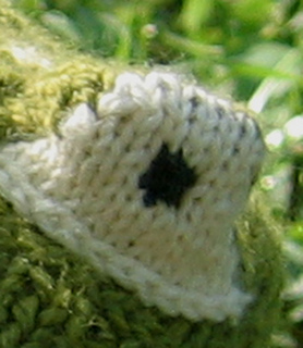 Frog_eye_web_small2