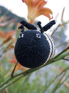 Beetoy2_web_small2