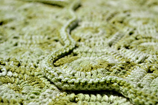 Turtle04_small2