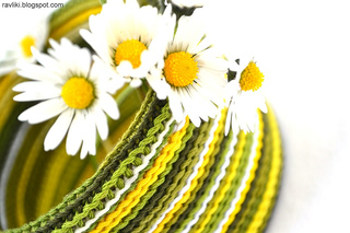 Bosnian_herbal_daisy_small2