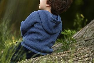 _26c6611_small2