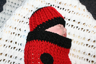 Ladybug_03_small2