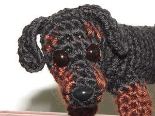 Dog2_small2