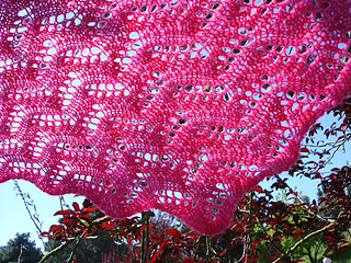Dsc04429_small2