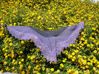 Dsc06589_small2