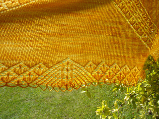 Dsc07525_small2