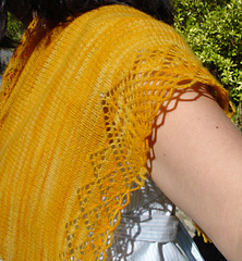 Dsc07579_small