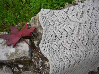Dsc08104_small2