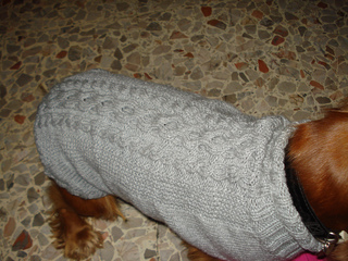 02122010_015_small2