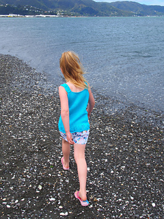 Pb080048_small2