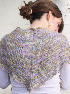 Springtide-back_small2