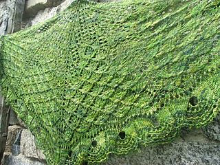 Clovers_small2