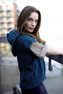 Hudson_2_small2