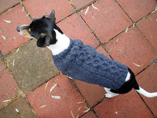 Ahimsa_dogcozy03_small2