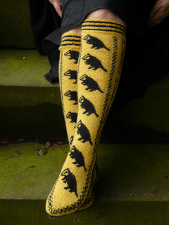 House_pride_socks_041_small2
