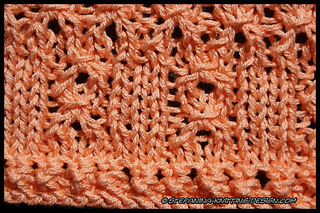 Mandarine_border_close-up_small2