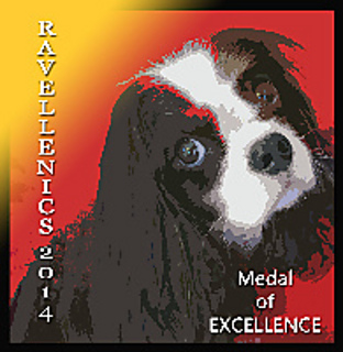 Sammy_medal2_testfont_small2