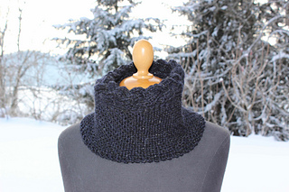 Biascowl2_small2