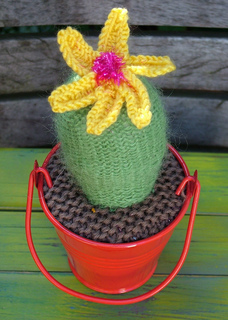 Cactus_variation_small2