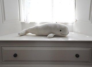 Chloe-big-beluga1_small2