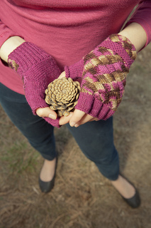 Dykhuizen_20mitts_202_small2