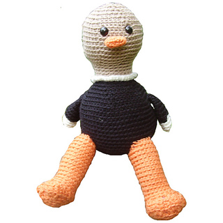 Ostrich_small2