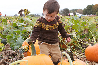 121021_bishoppumpkin_146_small2