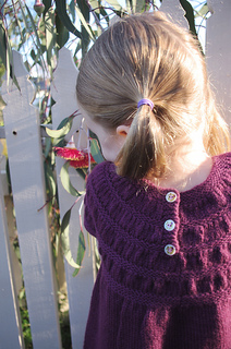 Cassia2_small2