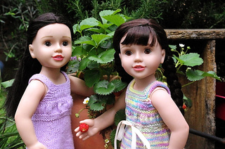 Dollybabydarwinia5_small2