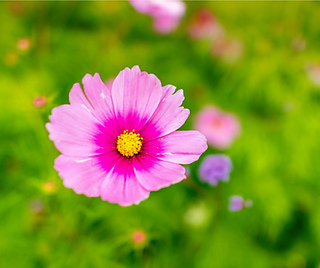 Image_small2