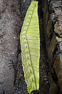 Dsc_5002_small2