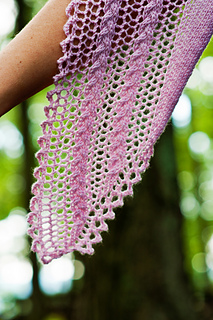 Dsc_0368_small2