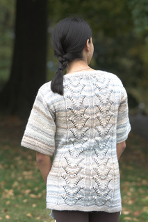2043_back_small2