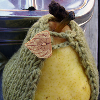 Pear_close_up_small2