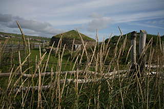 Scatness_small2