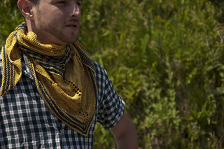Dsc_0209_small2